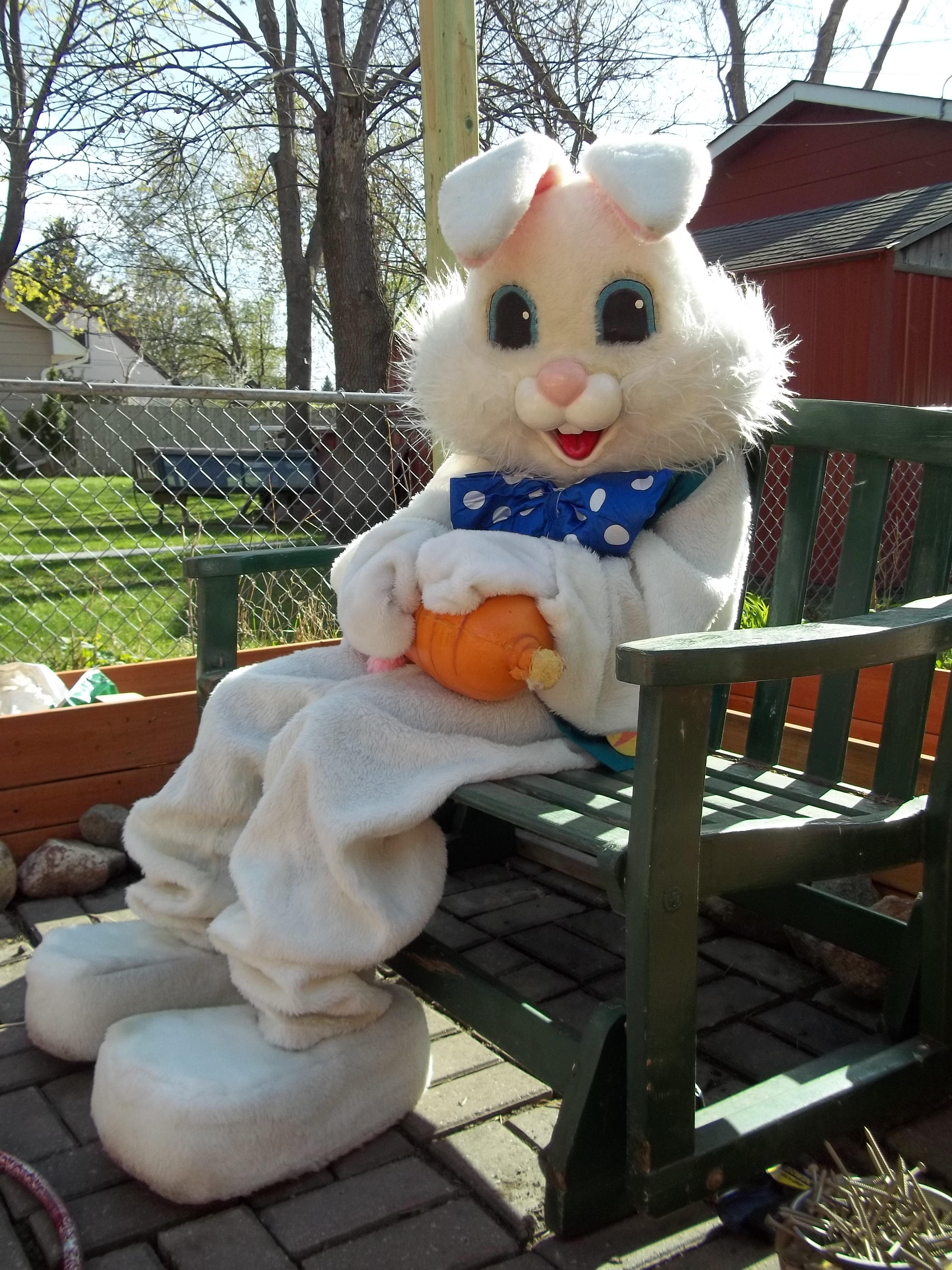 easterbunny2012.jpg